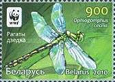 [WWF - Dragonfly the Green Snaketail, type ACN]