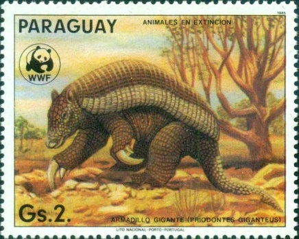 ss1v margin-- sos paraguay 2139e 1988