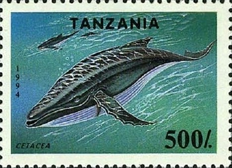 3465d-sos tanzania 1293  1994 (2)