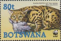 sos botswana 806  2005