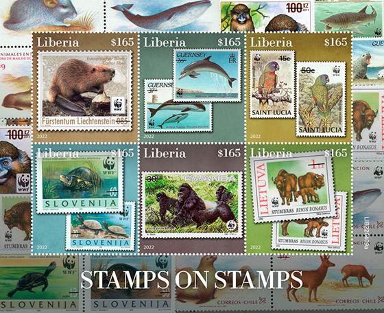 liberia ss 6 v 12.2.22