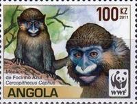 sos angola 1364d  2011