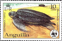 [World Wildlife Fund - Turtles, Scrivi UE]