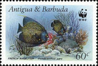 [World Wildlife Fund - Fish, Scrivi MF]
