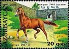 https://i.colnect.net/b/1603/548/Karabakh-Horse--quot-Sarvan-quot--Equus-ferus-caballus.jpg