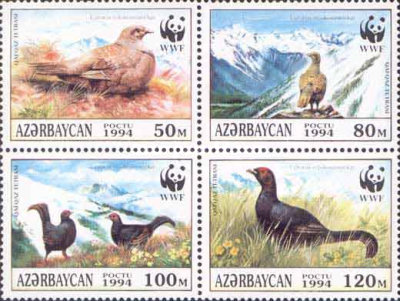 [Birds - The Caucasian Black Grouse, type ]