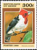 3482 margin-sos benin 1124 999