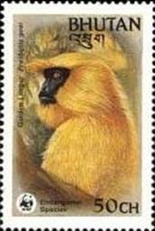 sos bhutan 413 1984