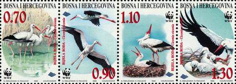 [WWF _ White Stork, type ]