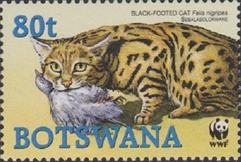 sos botswana 806  2005