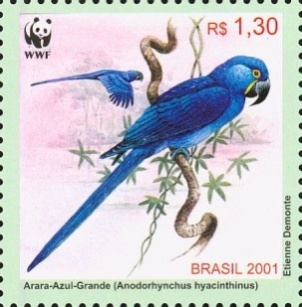 sos brazil private Condor zepellin mail Mi Zp 2     1930 (2)