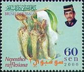 sos brunei 558 2000