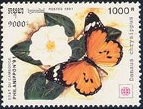 https://i.colnect.net/b/2106/679/African-Monarch-Danaus-chrysippus.jpg