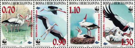[WWF _ White Stork, type ]