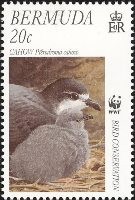[Endangered Species - Bird Conservation, type YT]