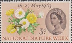 http://www.stampsonstamps.org/Rammy/Anguilla/Anguilla_image013.jpg