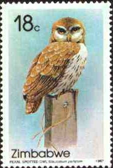 guinea%202009%20owls%20on%20stamps%20imperf%20deluxe%201