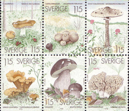 Mushrooms - stamp on stamp