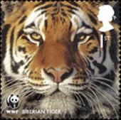 [WWF - Endangered Species, Leopard, Scrivi BZR]