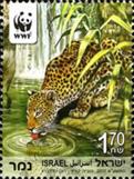 [WWF - Endangered Species, Leopard, Scrivi BZR]