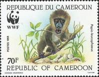 sos cameroon 845  1988