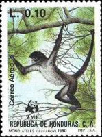 [Airmail - The Black-handed Spider Monkey, type QS]