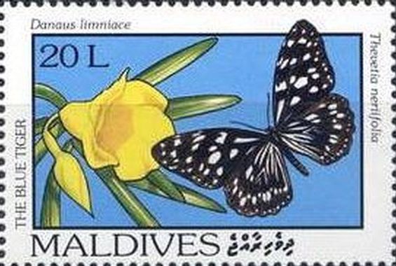 sos maldives 1894 1993