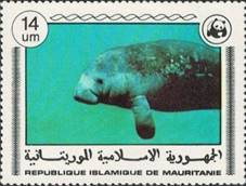 sos mauritania 385  1978