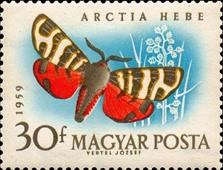 moz ss 4 v- 2-- sos hungary 1269 1959