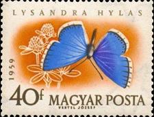 moz ss 4 v- 2-- sos hungary 1270  1959