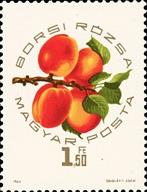 moz ss 4 v- 2-- sos hungary 1610  1964