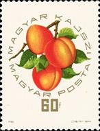 moz ss 4 v- 2-- sos hungary 1608  1964