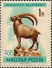 moz ss 4 v- 2-- sos hungary 1351  1961