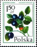 moz ss 4 v-2-- sos poland 2202  1977