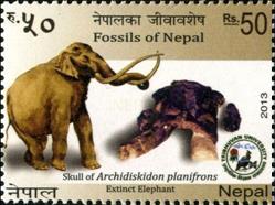 st thomas prince ss 1 v margin-- sos nepal 943 2013
