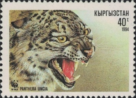 sos kyrgyzstan 32  1994