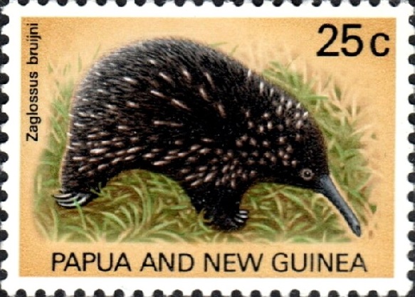 ss1v margin sos papua new guinea