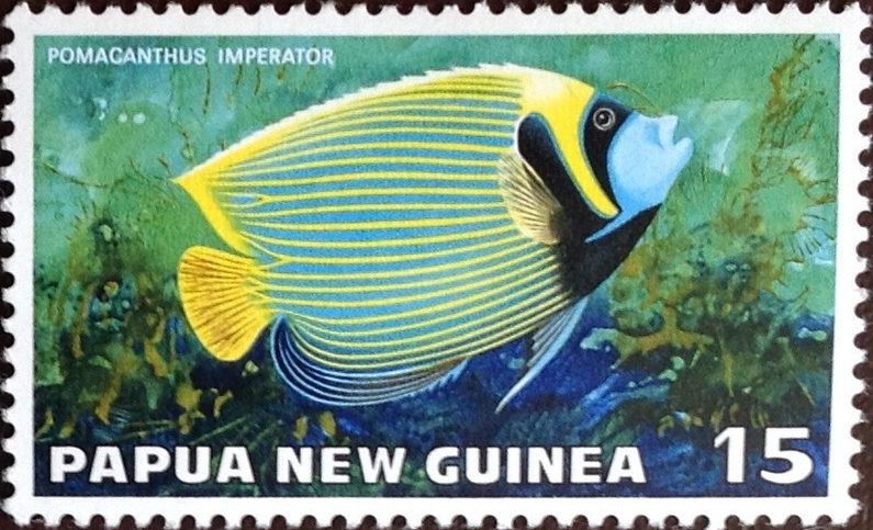 sos papua new guinea 326  1971
