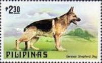 [Dogs and Cats, type AOX]