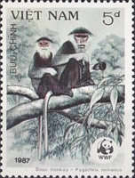 [Monkeys, type AHU]