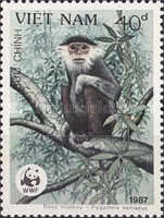 [Monkeys, type AHW]
