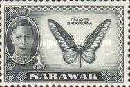 [Local Motifs, type AD]