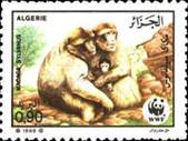 [Endangered Animals - Barbary Ape, Scrivi ZX]