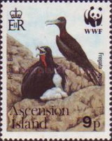 [Endangered Species - Ascension Frigatebird, type QE]