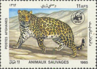 [WWF - Leopard, type ADJ]