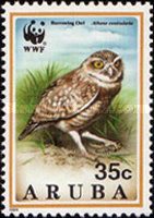 [The Burrowing Owl, type EC]