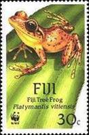 [Fiji Tree Frog, Scrivi RY]