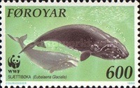 [North Atlantic Whales, type GL]