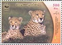 [WWF - Cheetah, Scrivi DRW]