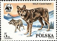[Protected Animals - The Wolf, Scrivi CSR]